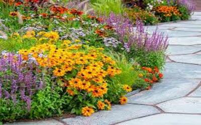 Mesa backyard landscaping ideas