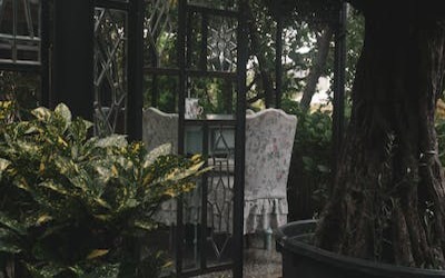 El Paso Backyard Landscaping Ideas