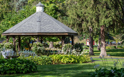 Lexington Backyard Landscaping Ideas