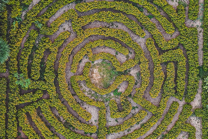 landscapers characteristics