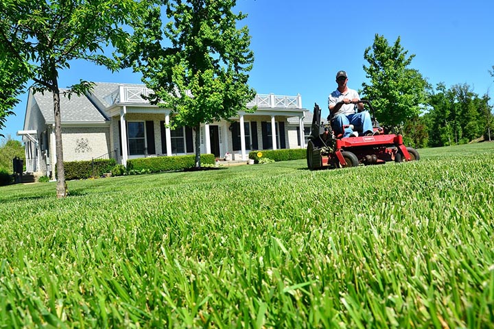 enhance lawn care