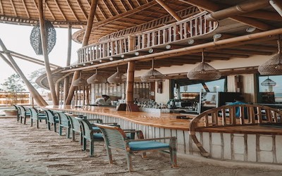 Long Beach Backyard Landscaping Ideas