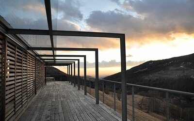 Bellevue Backyard Landscaping Ideas