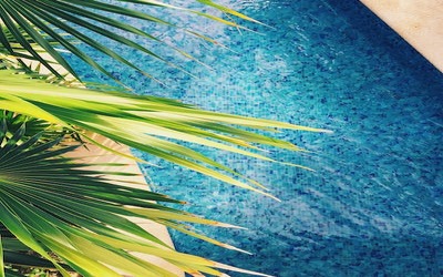 backyard ideas for landscaping