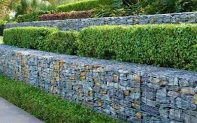 backyard ideas for landscaping