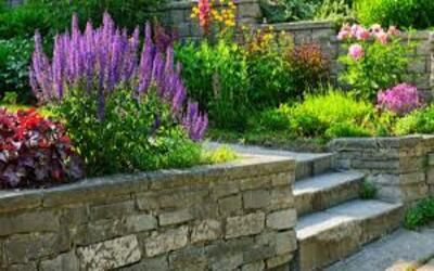 Columbus backyard landscaping ideas