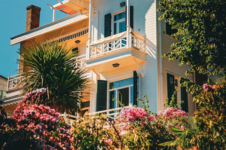 tropical planting for front yard paradise