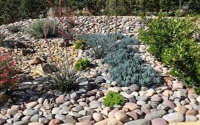 backyard ideas for landscaping