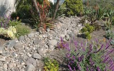 Aurora backyard landscaping ideas