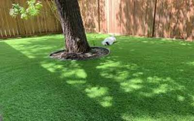 backyard ideas for landscaping