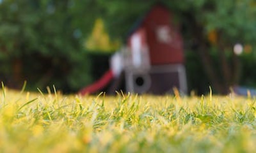 6 Trendy Atlanta Backyard Ideas (5 Stars Only)