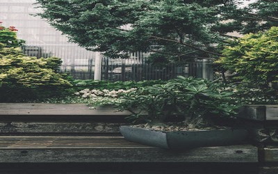 New York City Backyard Landscaping Ideas