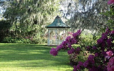 Boca Raton Backyard Landscaping Ideas