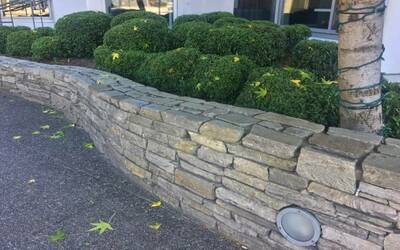 Landscaping ideas for backyards in Gilbert