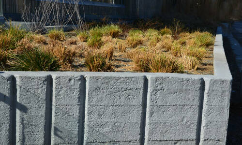 8 Trendy Stockton Backyard Ideas (5 Stars Only)