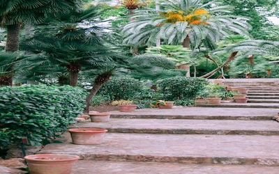 Greensboro Backyard Landscaping Ideas
