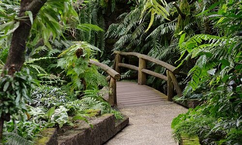7 Incredible Tacoma Backyard Ideas (Get Your Notes Ready)