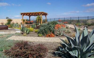 Boise Backyard Landscaping Ideas