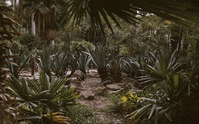 Las Vegas Backyard Landscaping Ideas