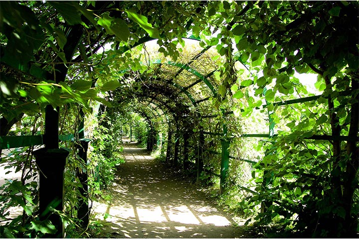 arches entry to nature