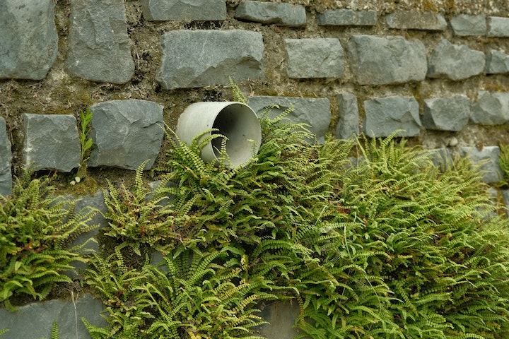 Crafting Circular Driveways