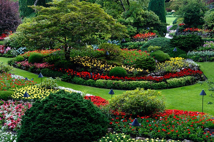 Easy DIY Landscape Design Ideas for Your Home