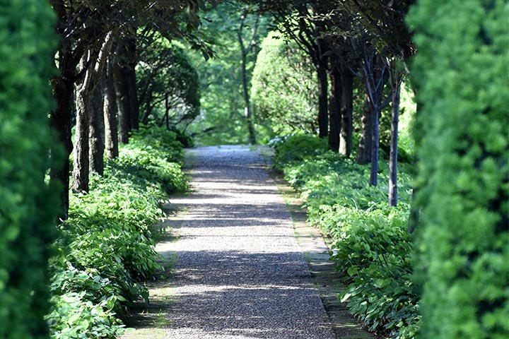 italian courtyard garden