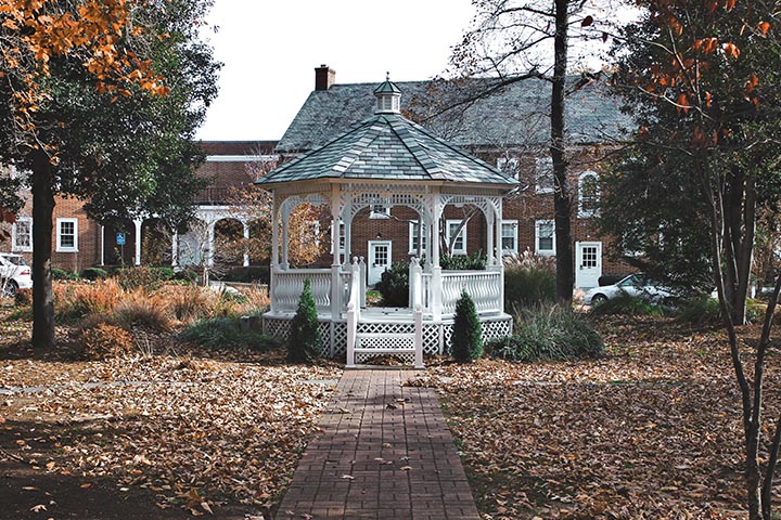 fall to spring gardening