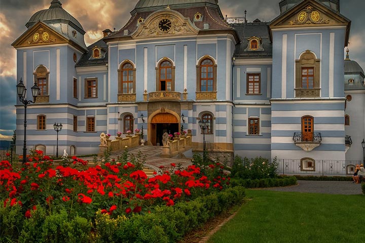 blooming of flowerbed