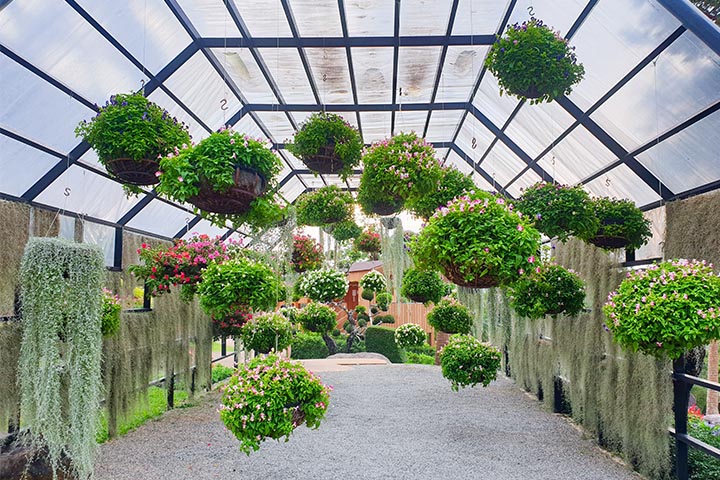 gallery aesthetic garden