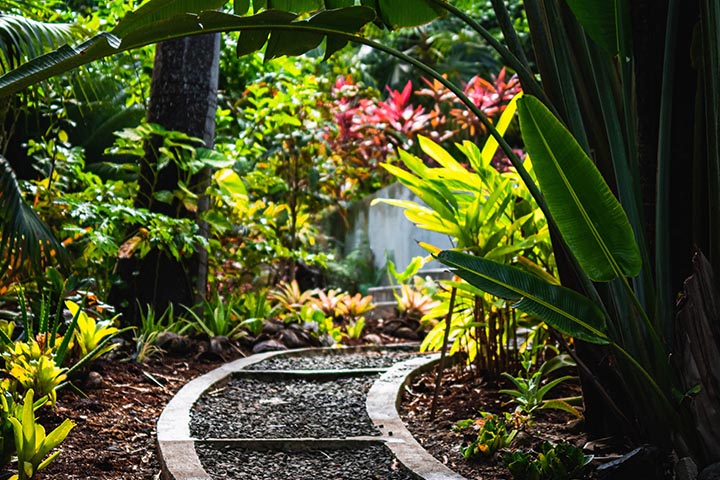 hillside style garden