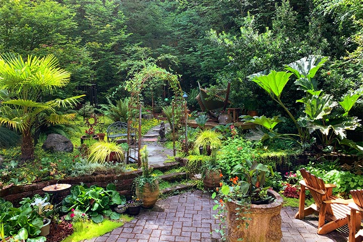 lush oasis garden