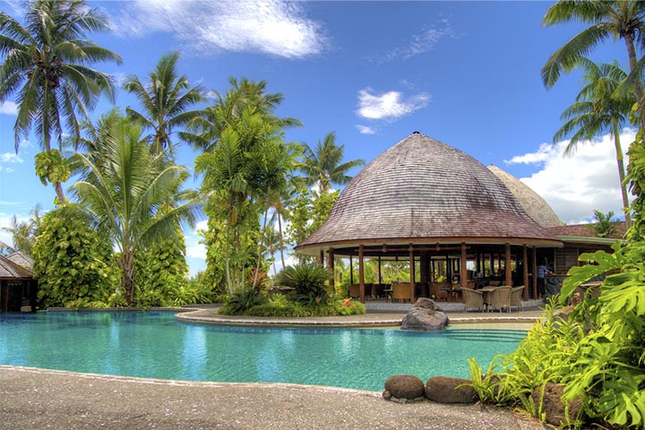 commercial pools and palm trees