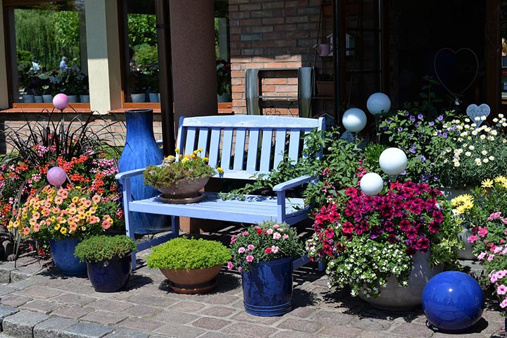 dream design ideal garden