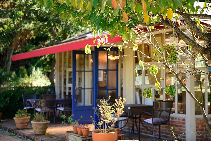ideal dream patio garden
