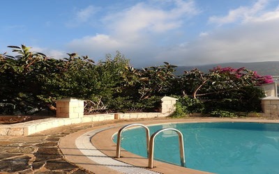 Jacksonville backyard landscaping ideas