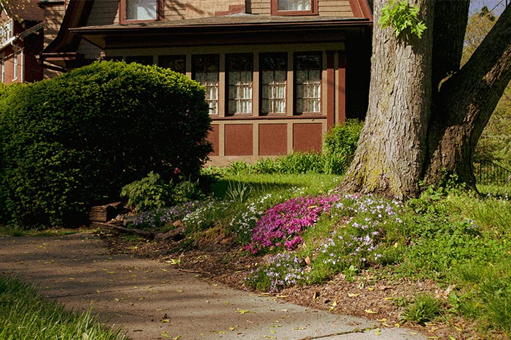 Welcoming Greenery: Unique Sidewalk Planting Ideas for Front Entry
