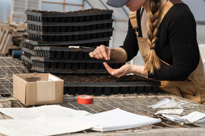 essential tips for weed barrier