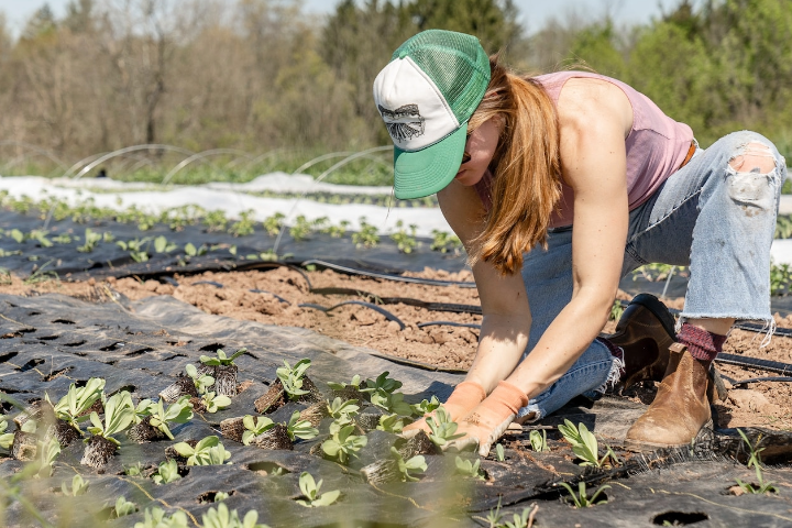 Weed Barrier Essentials: Your Ultimate Guide