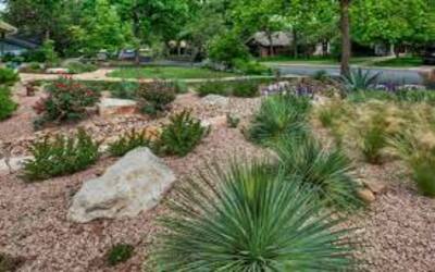 backyard ideas for landscaping