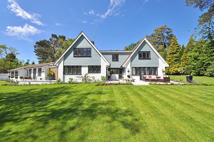 stunning garden and yard design